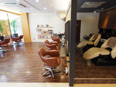salon images